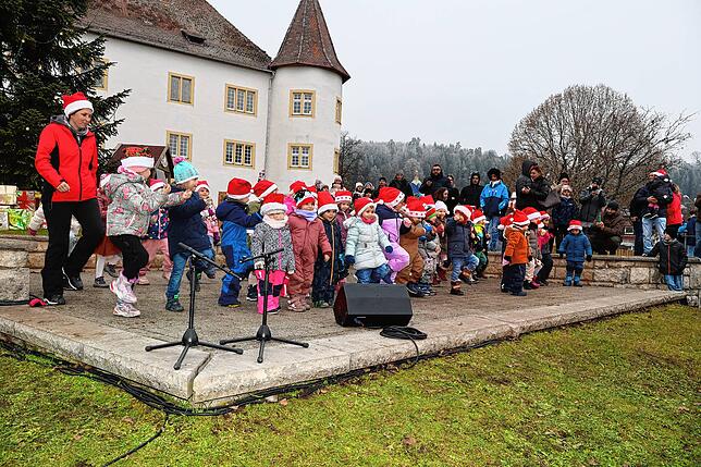 Bild 4: Immendinger Weihnachtsmarkt am Schloss begeistert die Besucher