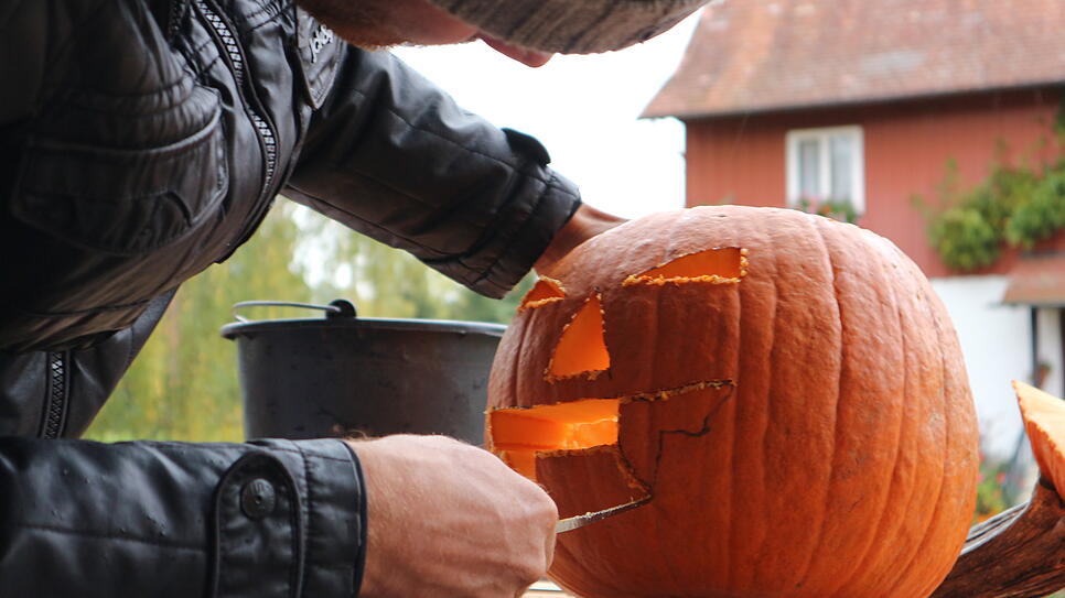 Bild : Noch kein Kürbisgesicht für Halloween? Bruno Stotz zeigt, wie einfach es geht und was dabei zu beachten ist