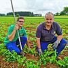 Der Bräunlinger Bio-Landwirt Johannes Schwörer und Sohn Martin auf dem Zuckerrübenfeld des Eichenhofs. Das Beikraut müssen sie per Hand ...