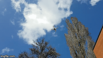Die DJI Phantom 4 Pro im Einsatz.