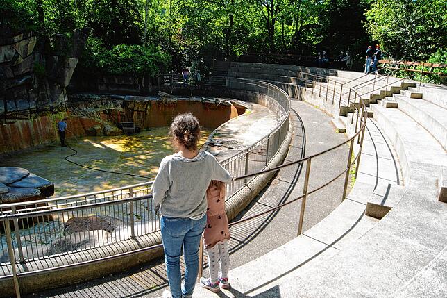 Bild 5: Der erste Besuch im Basler Zoo nach dem Lockdown: &bdquo;Ich freue mich jetzt richtig&ldquo;