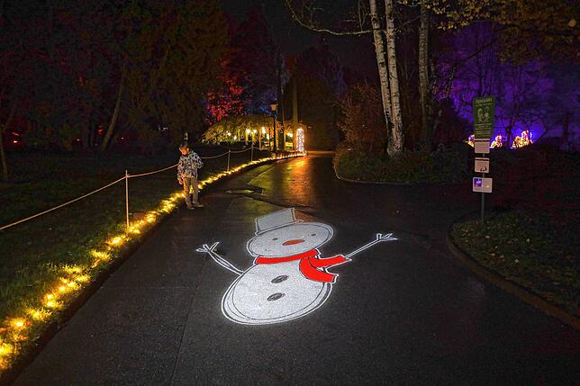 Bild 12: Insel Mainau: Bilder vom Start des Christmas Garden 2023 - Teil 1