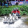 Galoppieren 2024 noch die Ponys durch die Brigach, werden es in diesem Jahr wieder die Viererzüge mit den Großpferden sein.