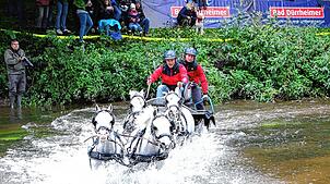 Galoppieren 2024 noch die Ponys durch die Brigach, werden es in diesem Jahr wieder die Viererzüge mit den Großpferden sein.