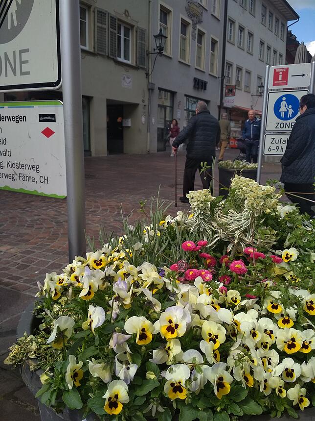Bild 5: Blumen, Erde und ein Traktor &ndash; die Stadtgärtnerei Waldshut-Tiengen in Zahlen