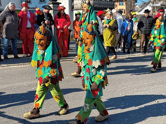 Bild 28: Fasnacht 2025: Alle Bilder vom Gemeinschaftsumzug in Mühlhofen