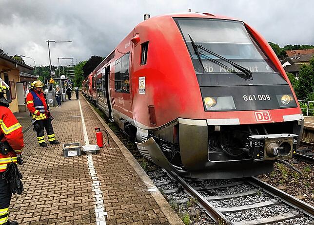 Auch die Regionalbahnen sind längst nicht frei von Problemen: Hier ein defekt liegen gebliebener Triebzug im Bahnhof Laufenburg.
