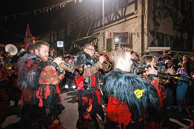 Bild 10: Die schönsten Bilder vom Nachtumzug in Möggingen 2025: 30 Gruppen im närrischen Treiben