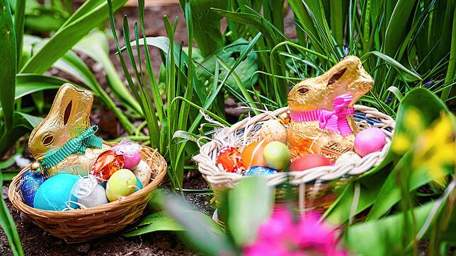 Suchen die Kinder ihre Osternester dieses Jahr im Regen oder bei Sonnenschein?