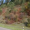 Bild :