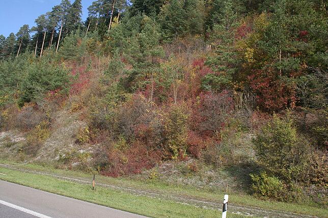 Bild 1: Bilder vom Abtransport des Felsbrockens auf der A81 nach dem Unfall nahe Trossingen