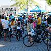 Bild :