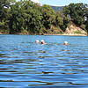 Das Schwimmen im Rhein ist trotz Gefahr im fließenden Gewässer und der Badeunfälle der vergangenen Wochen beliebt. Hier beim, von ...