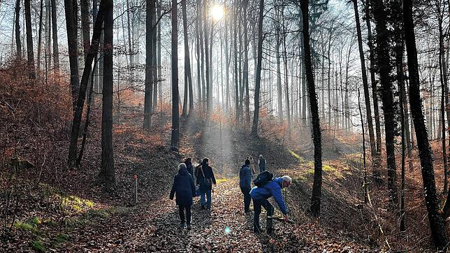 Bei schönstem Wetter: Die VHS-Exkursion &bdquo;Winterpilze erkennen und bestimmen&ldquo; im Wald oberhalb von Ludwigshafen. Der Kurs ...
