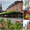 Wo sind die besten Restaurants in Radolfzell?