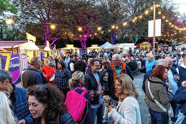 Bild 16: Ausgelassene Stimmung beim Radolfzeller Weinfest "Weinwiese" am Konzertsegel