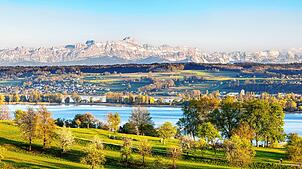 Was wäre das Bodenseepanorama ohne ihn? Der Säntis (2502 Meter) dominiert das Panorama und ist ein beliebtes Ausflugsziel. Über die ...