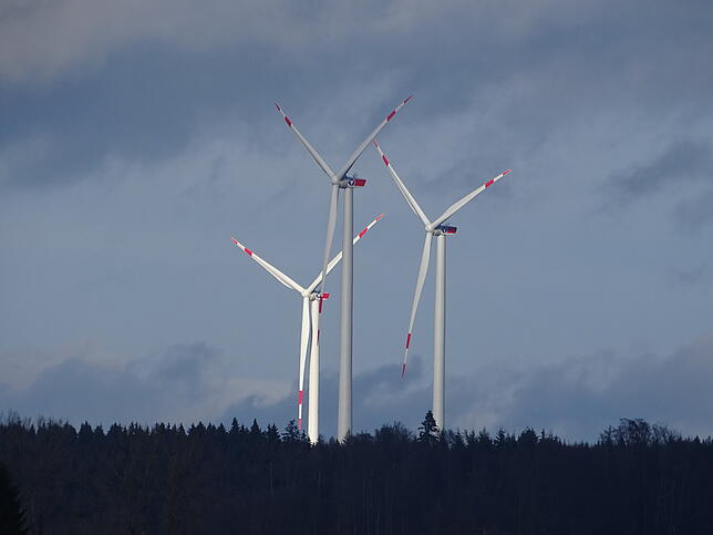 Windräder sollen auf Gemarkung Rickertsreute gebaut werden. Heiligenberg will sich wehren.