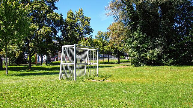 Bolzplatz an der Hebelstraße: Außer dass die Höhe der Grashalme unterschiedlich ausfallen, hat sich in den vergangenen zwei Jahren keine ...