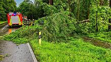 Bei dem Unwetter im östlichen Bodenseekreis am Freitagabend war Langenargen einer der Einsatzschwerpunkte. Die Feuerwehr musste im Laufe ...