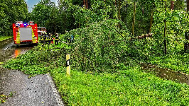 Bei dem Unwetter im östlichen Bodenseekreis am Freitagabend war Langenargen einer der Einsatzschwerpunkte. Die Feuerwehr musste im Laufe ...