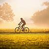 Fahrradfahren ist ein sehr beliebtes Hobby in Deutschland. Zu einer der beliebtesten Touren zählt der Bodensee-Radweg, der sich super ...