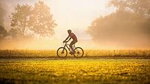 Fahrradfahren ist ein sehr beliebtes Hobby in Deutschland. Zu einer der beliebtesten Touren zählt der Bodensee-Radweg, der sich super ...
