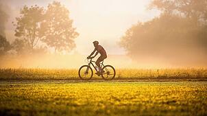 Fahrradfahren ist ein sehr beliebtes Hobby in Deutschland. Zu einer der beliebtesten Touren zählt der Bodensee-Radweg, der sich super ...
