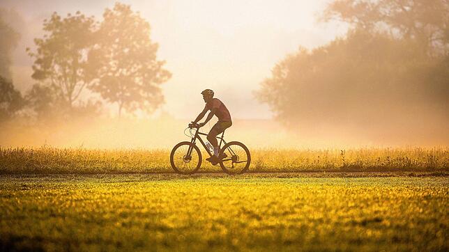 Fahrradfahren ist ein sehr beliebtes Hobby in Deutschland. Zu einer der beliebtesten Touren zählt der Bodensee-Radweg, der sich super ...
