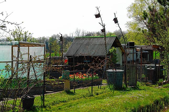 Die Gartenanlage in den Frankenwiesen ist nicht nur Ort für Selbstversorgung, Erholung und Rückzug. Naturliebhaber unterstützen mit ...