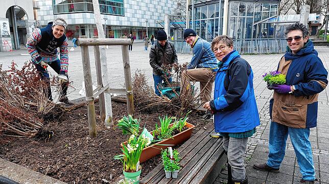 Konstanz soll grüner und bunter werden. Deshalb kämpften Ehrenamtliche mit den stacheligen Berberitzen und pflanzten Frühlingsblüher ...