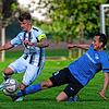 Bild :
