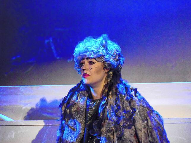 Bild 22: Musical-Karussell feiert Premiere: Das sind die Bilder (I)