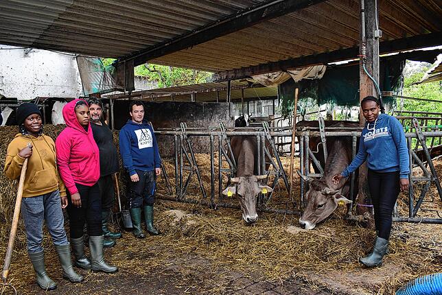 Morgens im Stall der Schlageters: Wohlgenährte Tiere und kühles Wetter – daran mussten sich die Praktikantinnen erst gewöhnen. Von ...