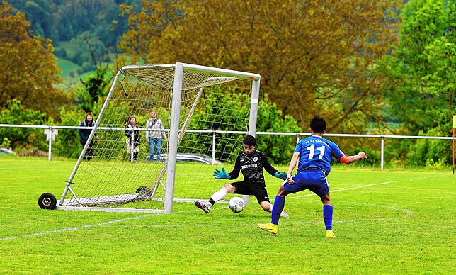 Bild 11: Die besten Bilder vom D-Junioren-Finale zwischen dem FC Radolfzell und dem SC Pfullendorf
