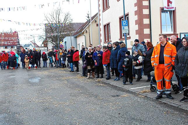 Bild 17: Umzug am Fastnachtssonntag in Hochemmingen: hier gibt´s die Bilder!