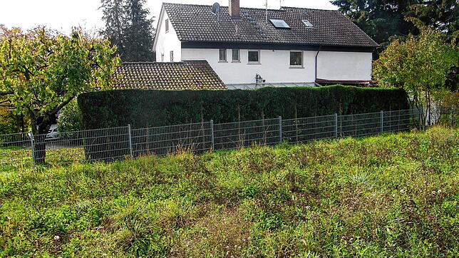 Auf diese Wiese am Ortsrand soll das neue Kinderhaus in Allensbach gebaut werden. Die direkt angrenzenden Anwohner beklagt, dass ihm ...