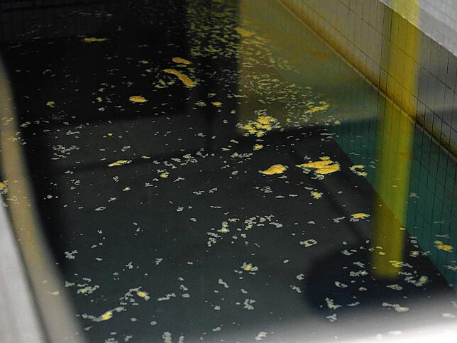 Sieht ein bisschen eklig aus, hat aber durchaus Sinn: Durch das Flockungsmittel ballten sich Schmutzpartikel zusammen und schwimmen ...