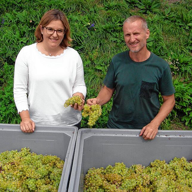 Sabrina Glönkler und Klaus Biesinger von der Reichenauer Rebenaufbau- und Weinbau-Genossenschaft sind mit der Qualität der Trauben ...