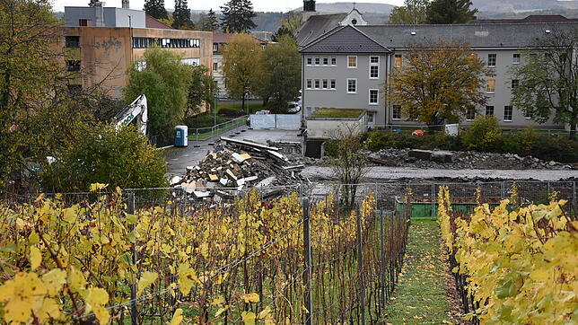 Auf dem Areal des St.Josefshauses, wo bisher die eigenen Handwerksbetriebe untergebracht waren, entsteht das neue Bernhardshaus. Die ...