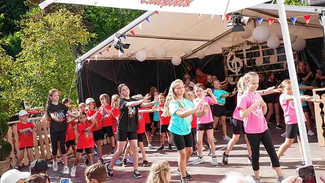 Bild 29: Bezirksmusikfest in Hohentengen – die besten Einblicke der Eröffnung!