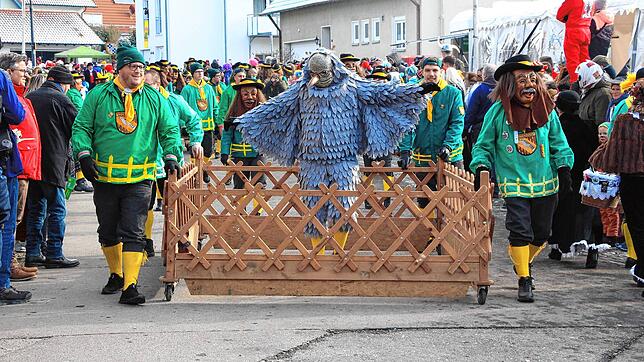 Sie feierten ihren 60. Geburtstag mit 36 befreundeten Narren- und Musikgruppen: der Narrenverein Kuckucks I-Hager aus ...