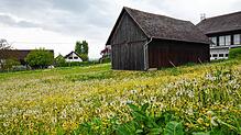 Die alte Feldscheune auf dem zukünftigen Ittendorfer Dorfplatz wird abgerissen. Im Norden der Fläche wird die neue Kulturscheuer ...