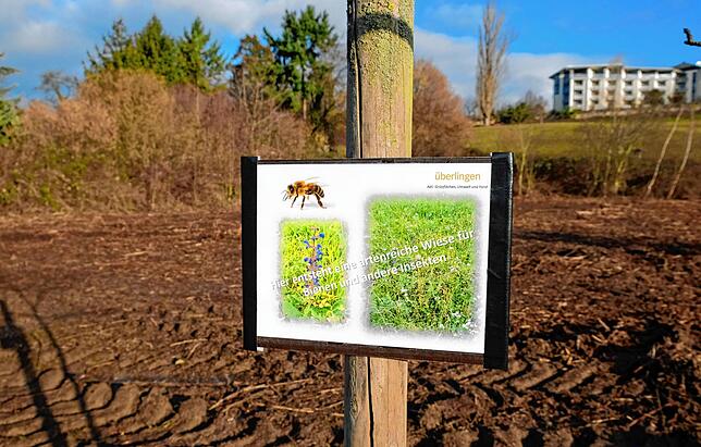 Hier legte das Grünflächenamt im Februar 2020 eine Insektenwiese an, die inzwischen mehrfach aufgeblüht ist. Just dieses Areal, das an ...