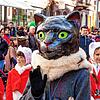 Der Umzug ist Finale und Höhepunkt des großen Narrentreffens am Sonntag, 16. Januar. Der Kater des Katzenmusikvereins &bdquo;Miau&ldquo; ...