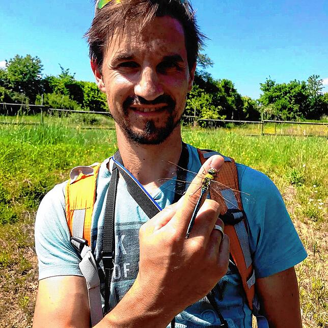 Eine Königslibelle ruht sich auf dem Finger des Libellenexperten Jochen Müller aus. Bild: Constanze Wyneken