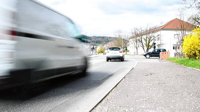 Ein Kleintransporter und ein Auto fahren auf der Ludwigshafener Straße. Der neue Lärmaktionsplan soll eine Grundlage für Maßnahmen gegen ...