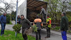 Voll beladener Lastwagen: Mehr als  6000 junge Bäume galt es auszuladen. Bild: Christiane Sahli