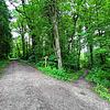 Beim Brückleweg &bdquo;Am Dornhau&ldquo; in Ortsteil Horheim wird der Ruhewald entstehen. Schon im laufe des kommenden Jahres sollen ...