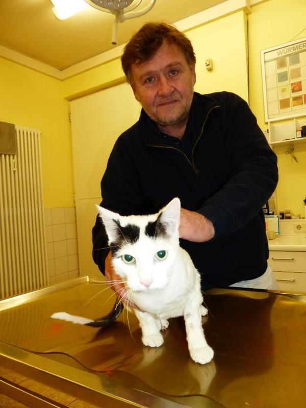 Dr. Bernhard Stark, Tierarzt in Salem, mit einer operierten Patientin. Bild: Christiane Keutner